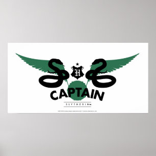 Affiche Harry Potter   SLYTHERIN™ House Quidditch Capitain