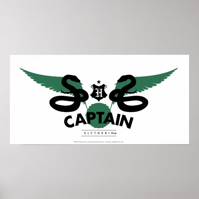 Affiche Harry Potter | SLYTHERIN™ House Quidditch Capitain (Devant)
