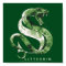 Harry Potter | SLYTHERIN™ Serpent Aquarelle