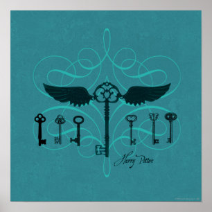 Affiche Harry Potter Spell Touches volantes