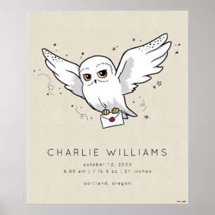 Affiche Harry Potter Statistiques de naissance de Hedwig