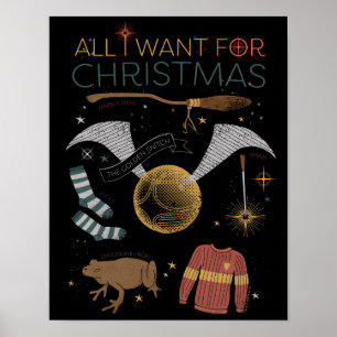 Affiche HARRY POTTER™ Tout ce que je veux pour Noël