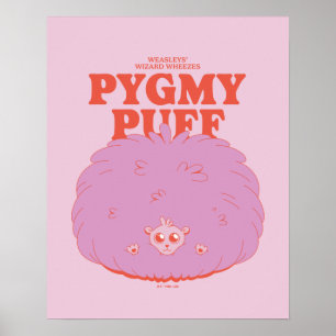 Affiche HARRY POTTER™   Weasley's Wizard Pygmy Puff