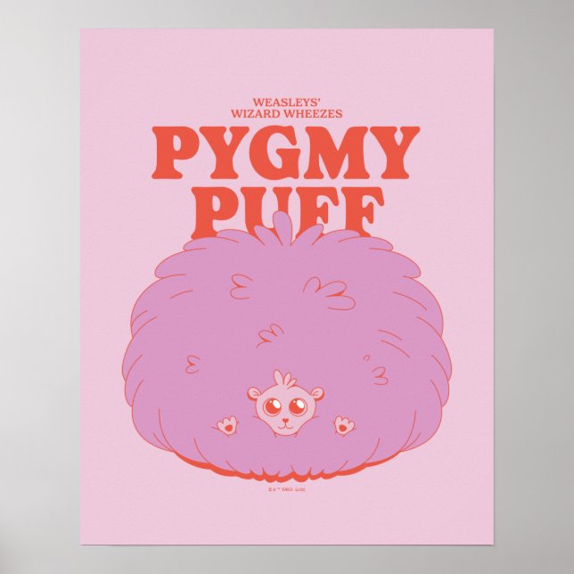 Affiche HARRY POTTER™ | Weasley's Wizard Pygmy Puff (Devant)