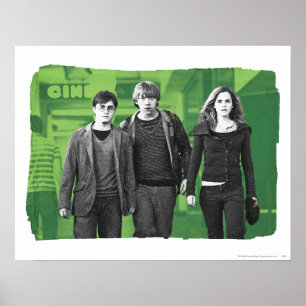 Affiche Harry, Ron et Hermione 1