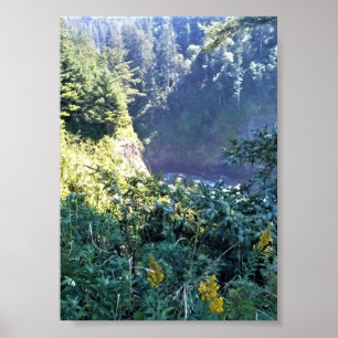 Affiche Hart's Cove, côte de l'Oregon