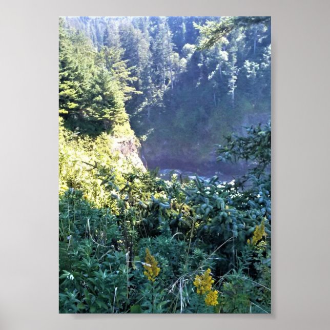 Affiche Hart's Cove, côte de l'Oregon (Devant)