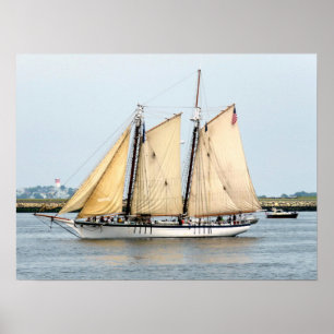 Affiche Harvey Gamage