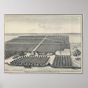 Affiche Hastie Vineyard, Californie