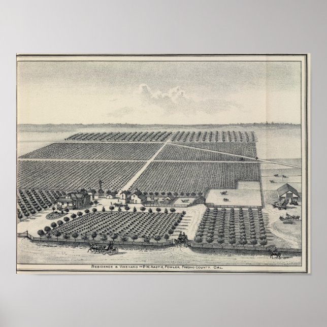 Affiche Hastie Vineyard, Californie (Devant)