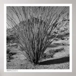 Affiche Hastings Réserve d'histoire naturelle