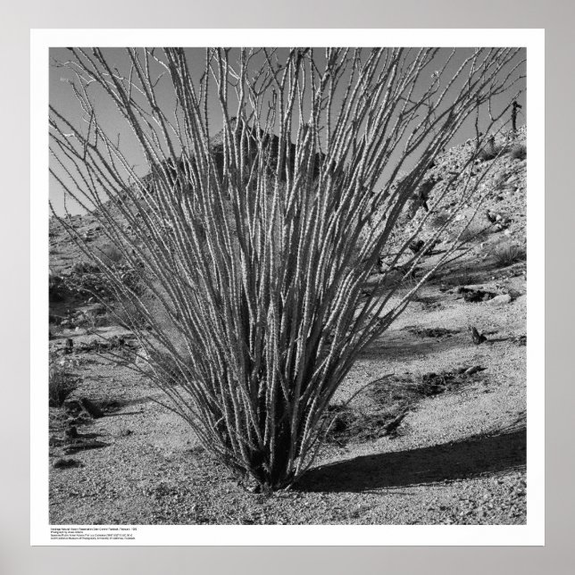 Affiche Hastings Réserve d'histoire naturelle (Devant)