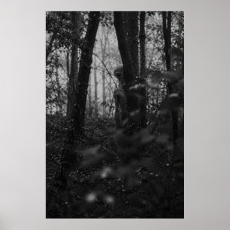 Affiche Haunted Forest – Mysterious Shadow in the Woods