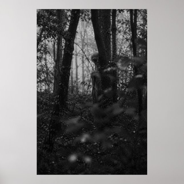 Affiche Haunted Forest – Mysterious Shadow in the Woods (Devant)