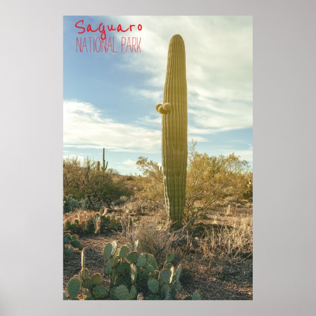 Affiche Haut debout (Devant)