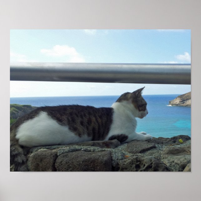 Affiche Hawaii (Devant)