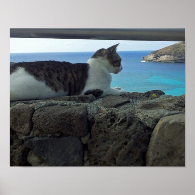 Affiche Hawaii (Devant)