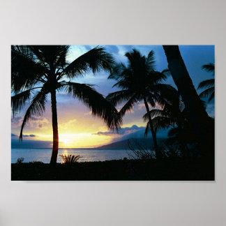 Affiche Hawaii