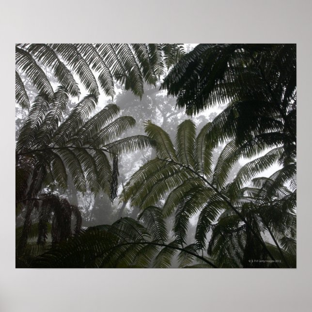 Affiche Hawaii, Big Island, Hawaii Volcanoes National (Devant)