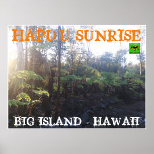 AFFICHE HAWAII, GRANDE ÎLE DE HAPU'U SLEVER