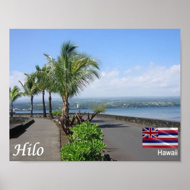 Affiche Hawaii - Hilo - (Devant)