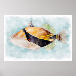 Affiche Hawaii Humuhumunukunukuapuaa Trigger Fish Hawaii
