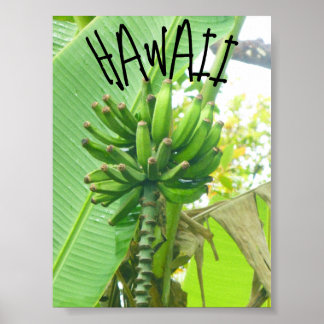 AFFICHE HAWAII NATURE
