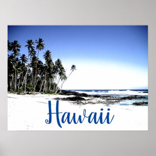 Affiche Hawaii Travel