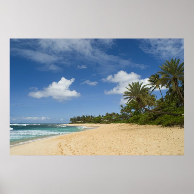 Affiche Hawaiian Beach FROM 8.99 (Devant)