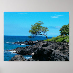 Affiche Hawaiian Coastline