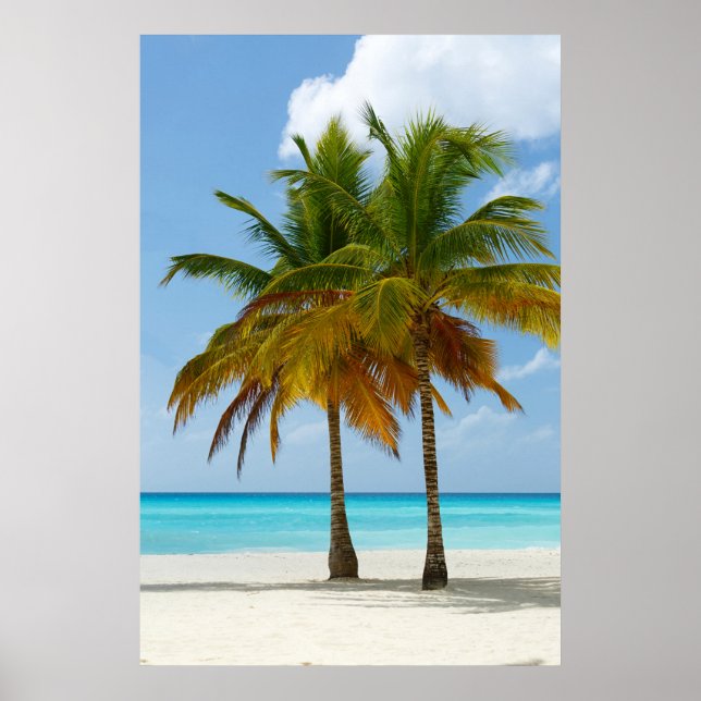 Affiche Hawaiian Exotic Beach Palm Trees (Devant)
