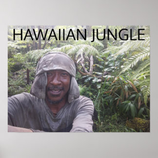 AFFICHE HAWAIIAN JUNGLE