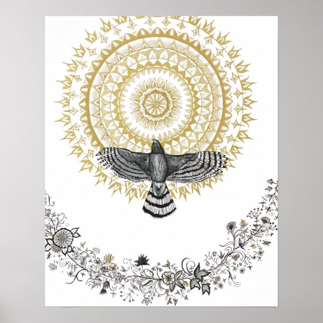 Affiche Hawk Dreams (Devant)