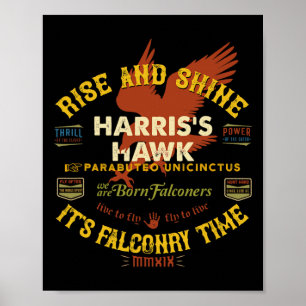 Affiche Hawk Falconry Design Harris Hawk Falconry Fournitu