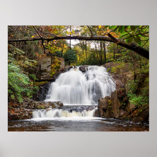 Affiche Hawk Falls in Autumn 24"x18" (Devant)