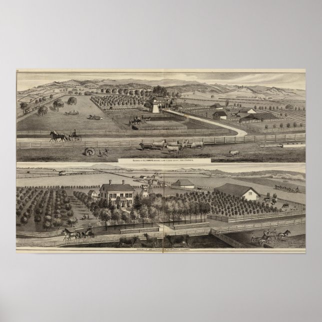 Affiche Hawkins, Mayes residences (Devant)