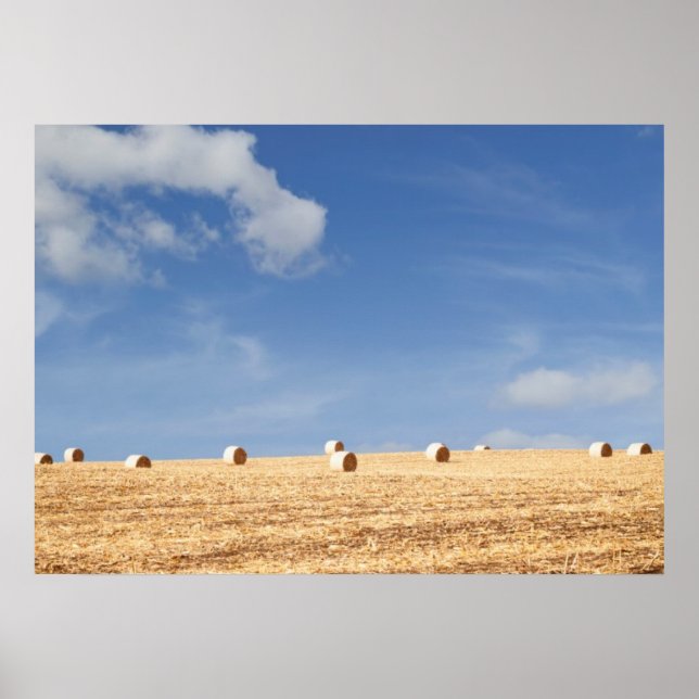 Affiche Hay Bales on Field (Devant)
