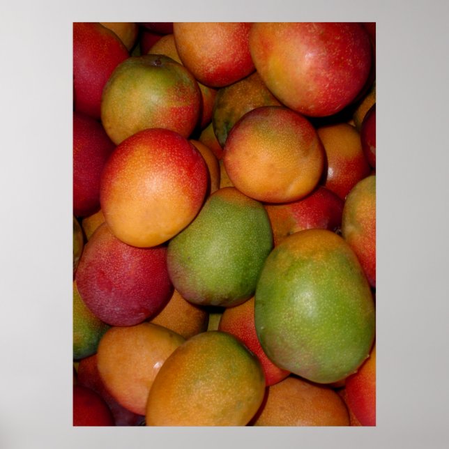 Affiche Hayden Mangoes (Devant)