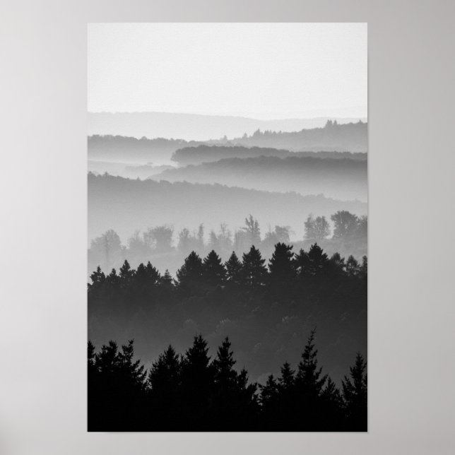 Affiche Hazy Forest Hills Paysage noir et blanc Photo (Devant)