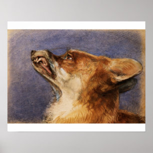 Affiche Head of a Fox