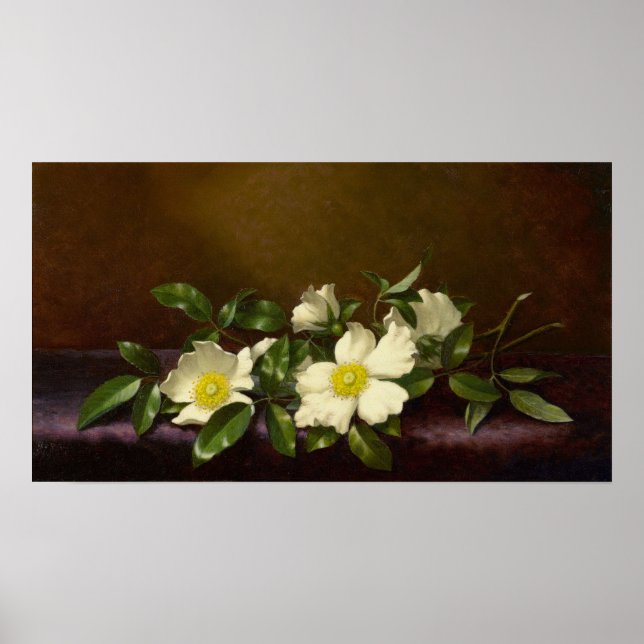 Affiche Heade - Cherokee Roses Sur Un Tissu Violet 1894 (Devant)