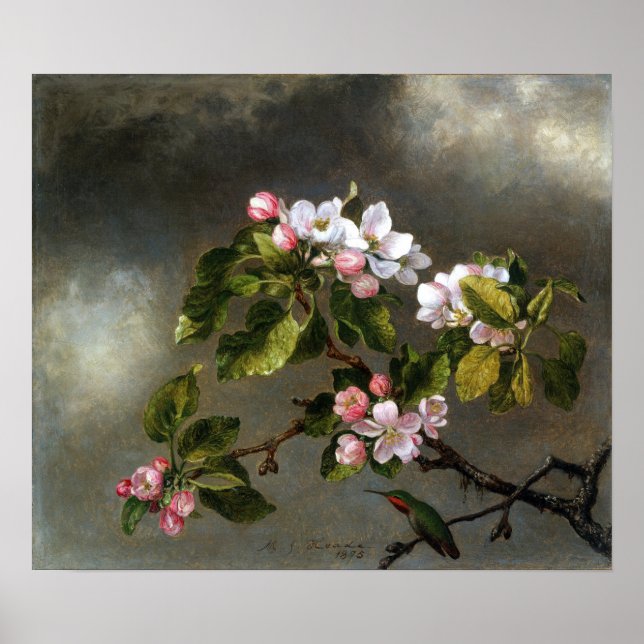 Affiche Heade - Colibri et Fleurs de Pommier (Devant)