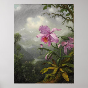 Affiche Heade - Colibri Perché Sur Le Plante De L'Orchidée