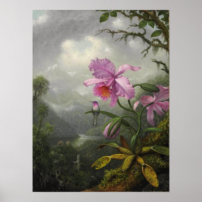 Affiche Heade - Colibri Perché Sur Le Plante De L'Orchidée (Devant)