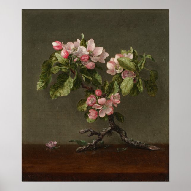 Affiche Heade - Fleurs de pommier (Devant)