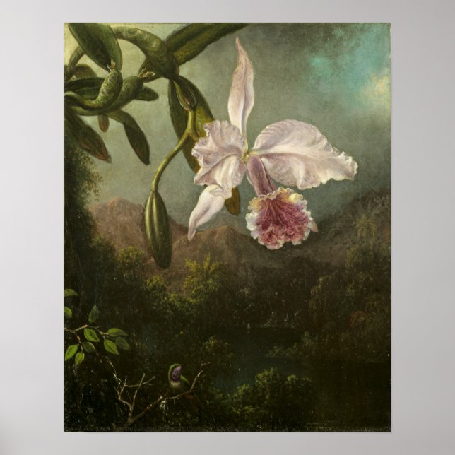 Affiche Heade - Fleurs d'orchidées (Devant)