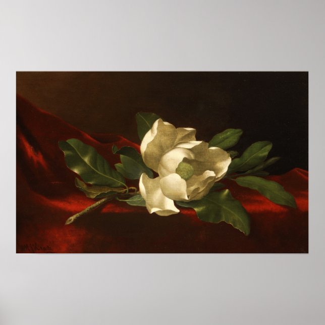 Affiche Heade - Magnolia (Devant)