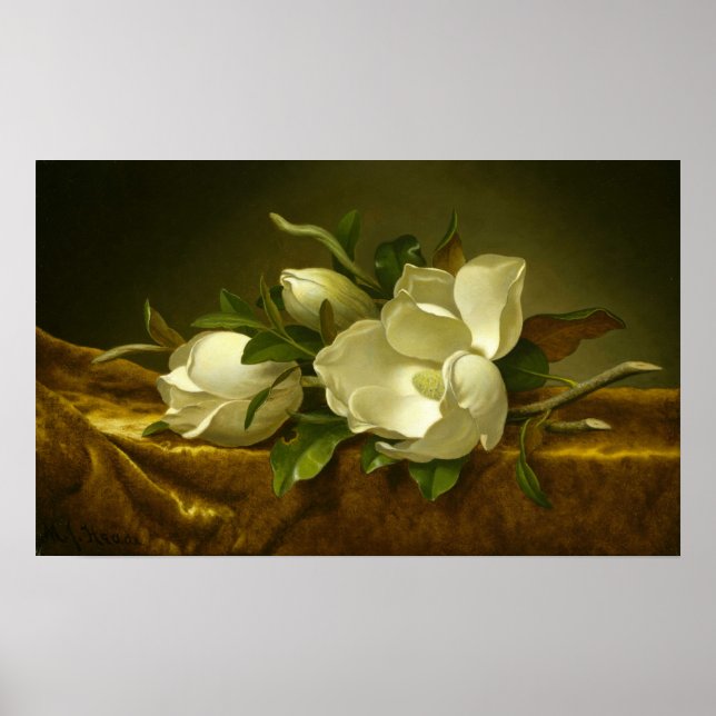 Affiche Heade - Magnolias sur tissu de velours doré (Devant)