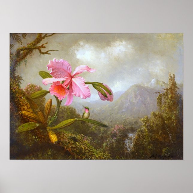 Affiche Heade - Orchid And Hummingbird Near A Waterfall  (Devant)