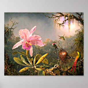 Affiche Heade - Orchidée de Cattleya et trois colibris
